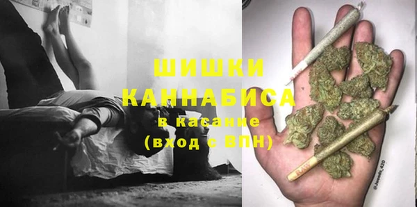 спайс Елизово