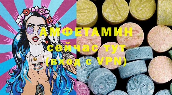 прущие грибы Ельня