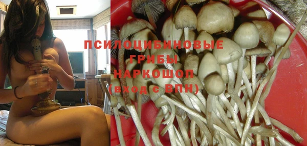 таблы Дмитровск