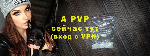 соль ск Елабуга