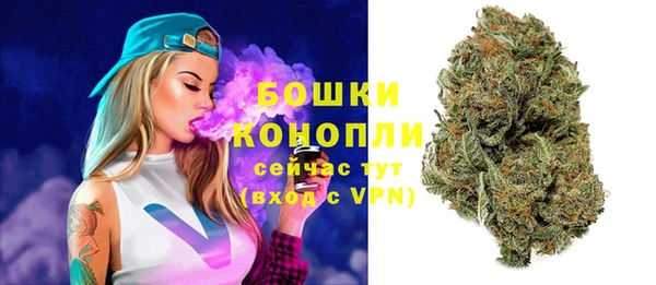прущие грибы Ельня