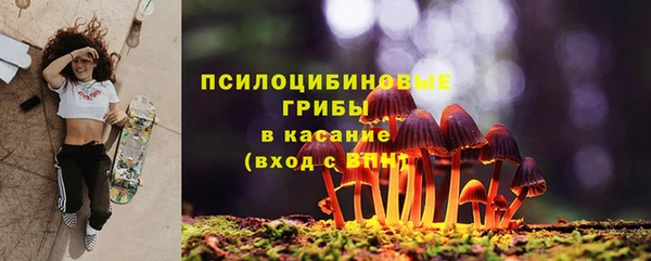 прущие грибы Ельня
