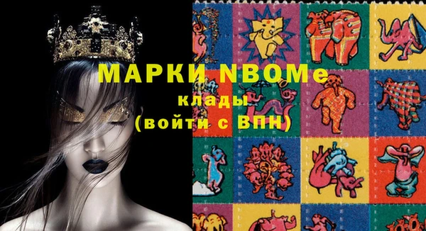 прущие грибы Ельня