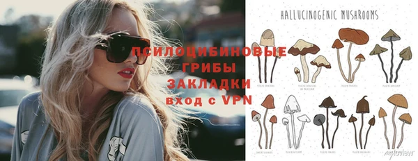 ECSTASY Дмитриев