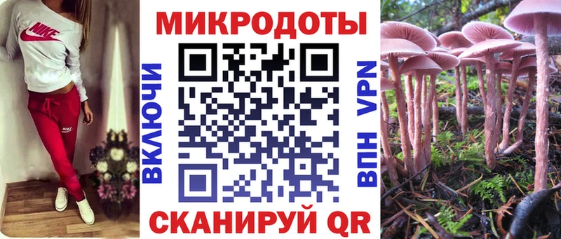 сколько стоит  omg зеркало  Галлюциногенные грибы Cubensis  Новосокольники 